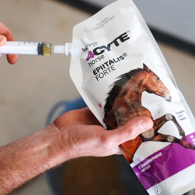 Joint supplement for horses